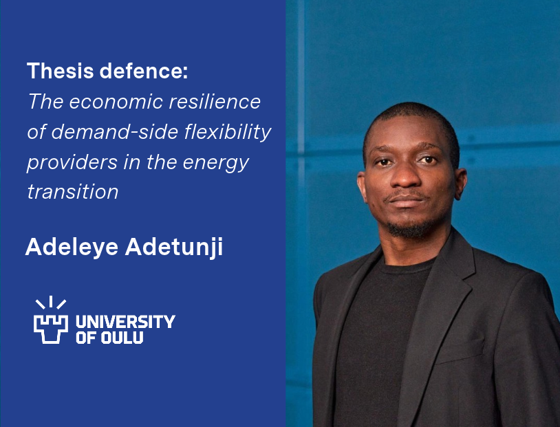 Thesis defence 30.10: The economic resilience of demand-side flexibility providers in the energy transition